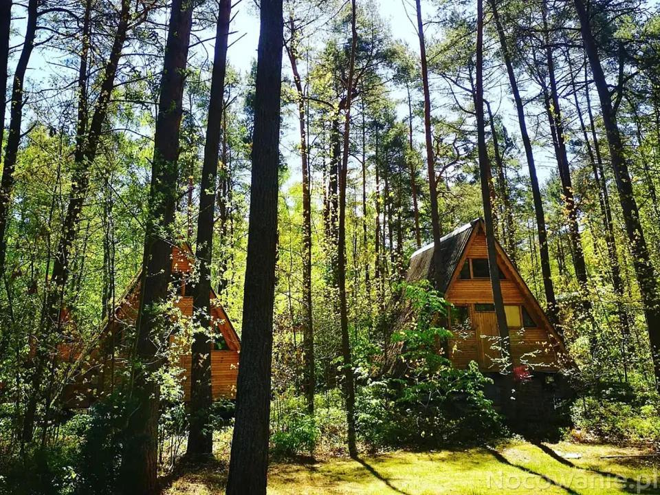 Villa Osrodek Wypoczynkowy Zakatek Kąty Rybackie Exterior foto